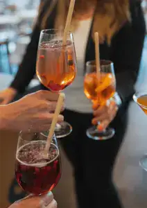 Bienenberg Apéro 1